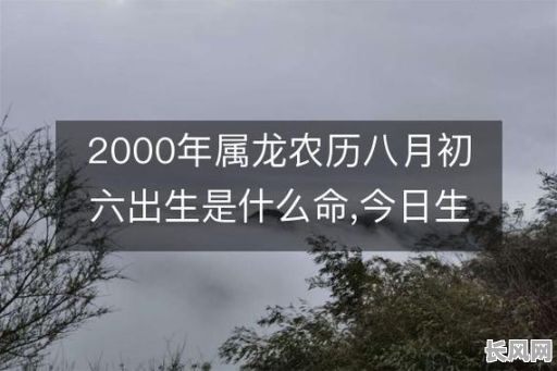 农历2000年出生的人是什么命格？农历2000年的命格特点是什么？