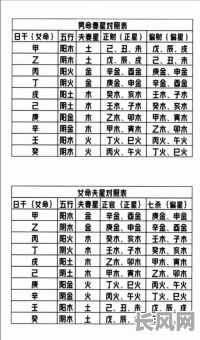木命人命里到底缺了哪些元素？
