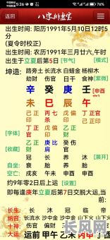 盲派八字命理基础解析：如何深入理解其核心原理？