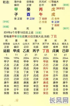 丙午八字命例解析详解大全，如何全面掌握？