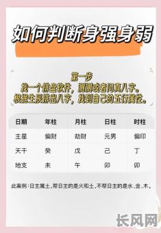 八字命理中，旺衰强弱如何判断与影响？