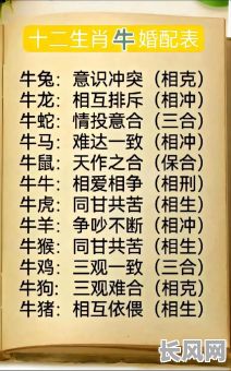 属牛女究竟属于哪种命格？她的命格特点是什么？