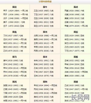 生辰八字命理数据库如何构建更全面？