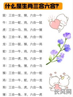 命格真好的三大生肖男孩，他们究竟有何独特优势？