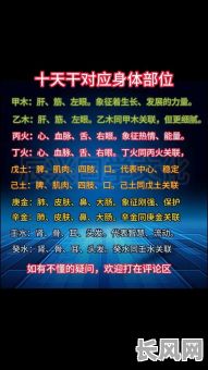 八字师傅谈命理怎么看？如何准确解读八字命理？