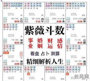 八字命理如何通过分析看工作环境变动趋势？