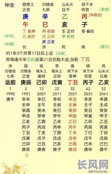 月柱辛巳是否为上等八字？这对女命有何影响？