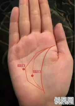 四条掌纹都是啥命格啊，女性命运有何不同？