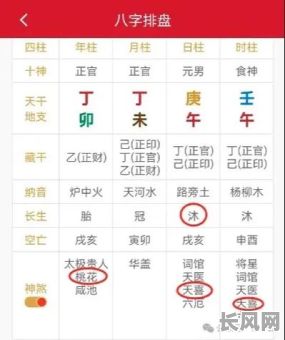 日坐桃花的八字命理，如何解读其中的运势与缘分？