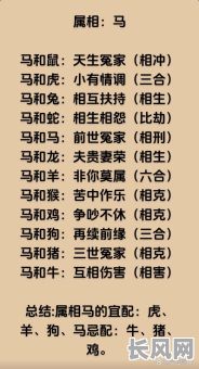 八字双马的命格究竟如何？