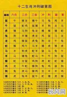 八字如果算是金命人，这种命理特征具体有哪些表现？