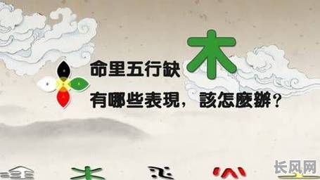 什么命格的人容易喜欢木头人，木头人又吸引着哪些命格的人？
