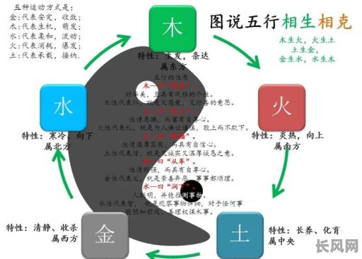 风水中的命格基础分析，如何深入理解其核心原理？