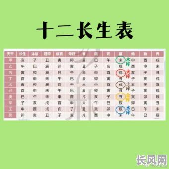 起名对应的命格是哪个字母？这个字母又代表着怎样的命运？