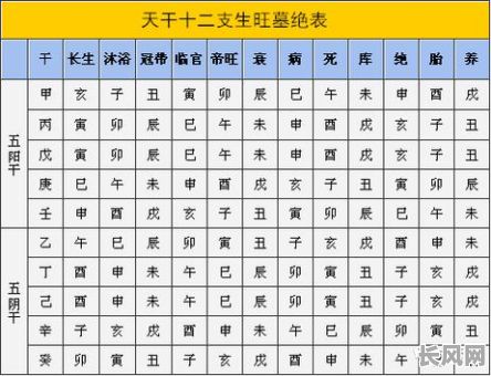 命理八字中天干和地支相合有何奥秘？如何判断它们之间的相合关系？