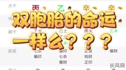 双胞胎的命格究竟属什么？他们的命运有何不同？