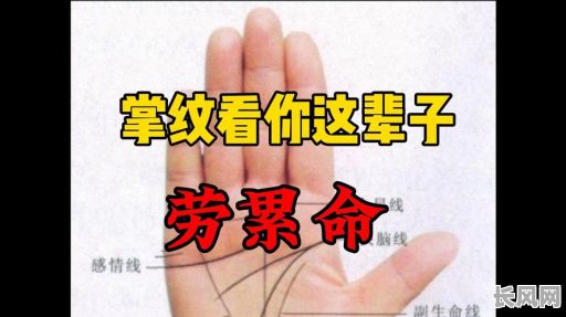 不同的手掌有不同的命格，为何每个人的命格都不一样？