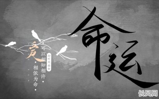 不能整容的命格男孩，命运注定有何不同？