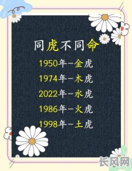 虎是五行属什么命格？它的命格特点是什么？