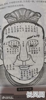 面相手相能看出哪些命格的人？面相手相究竟看出什么命格的人？