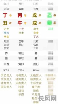 偏印财曜的命格有哪些？具体表现和特点是什么？