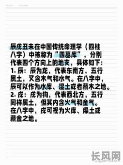 男命八字日元坐墓库究竟意味着什么？如何解读其影响？