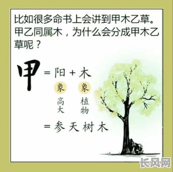八字木命的人适合出国吗？出国对八字木命的人有影响吗？