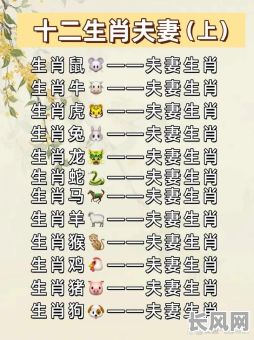 女性生肖是什么命格的男人，他们之间是否天生互补？