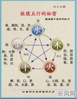 五行与五脏的对应关系是科学的吗？这种说法有科学依据吗？