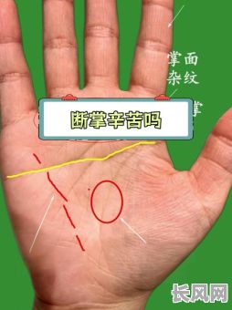 八字中什么是断掌的命格？断掌命格有何特点与影响？