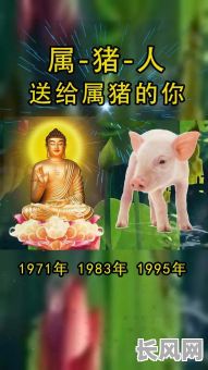 1983年属猪的人五行缺什么，命格是怎样的？