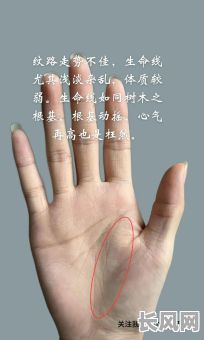 掌纹看八字命理准不准？八字命理分析真的准确吗？