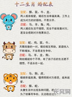 最佳命格的生肖女人有哪些？她们的特点是什么？