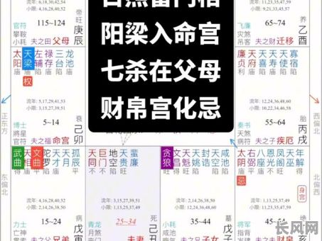 男主紫微星命格为何被夺？命运转折背后的真相揭秘