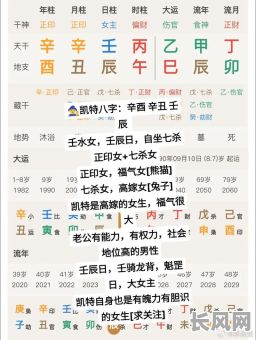 女命壬戌癸丑辛巳日八字如何解读？其命运特点有哪些？