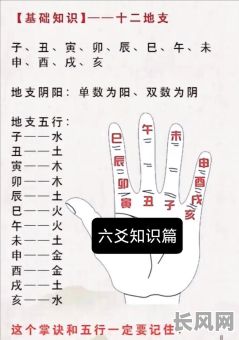 六爻占卜中，地支如何判断命格类型？六爻中地支对应的命格是什么？