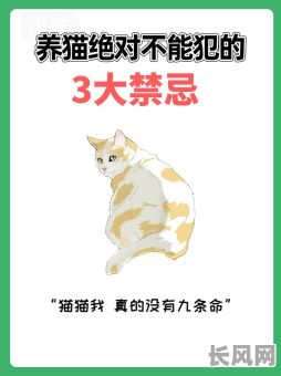 什么样的命格会不适合养猫？为什么这些命格不宜养猫？