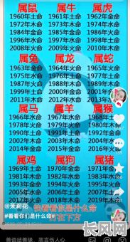 看运气八字究竟是什么命格？