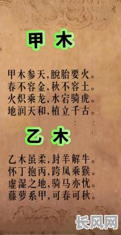 八字甲木参天断命，如何准确解读其命运走向？