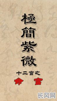 谭延闿的生辰八字命理分析，能否揭示其命运之谜？