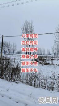 男命八字纯阴真的不利于婚姻吗？这是否意味着纯阴八字注定婚姻不幸？