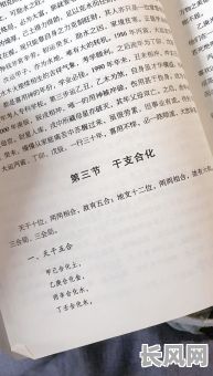 女命八字地支合多意味着什么？如何解读女命八字地支合多的吉凶？