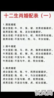 金命八字属相婚配表，如何查看我的婚配情况？