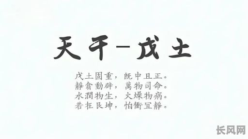 八字命理中的土命究竟是什么？它有哪些特点和影响？