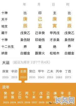 什么是八字命理中的年干支，它在命理分析中扮演什么角色？