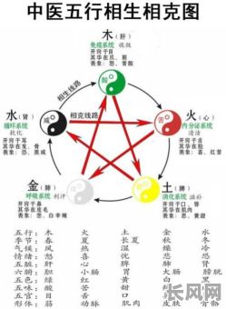 五脏与五行之间究竟有何关联？它们之间是如何相互影响的？