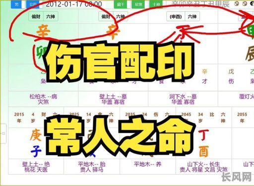 八字伤官佩印命局究竟如何详解？