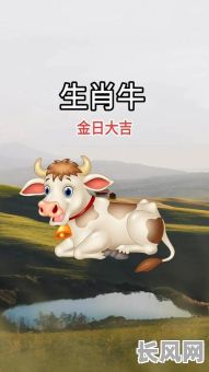 73年的牛究竟哪种命格最为吉祥？什么命格最适合73年出生的牛？