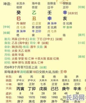 丁丑壬申八字命理分析详解，如何进行深入解读？