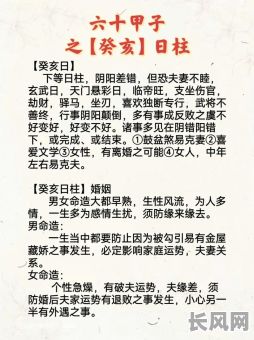 丁亥日柱有哪些命格特点？这些特点具体有哪些表现？